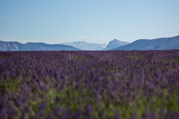 Paris - Burgundy – Lyon - Provence – French Riviera - Multi-regional - Multiday tours from Paris