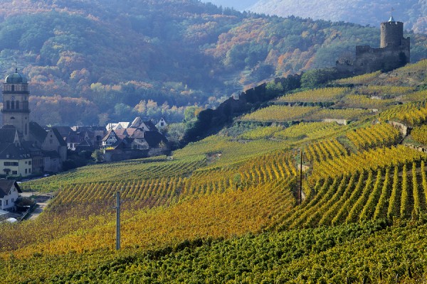 Overnight tour in Alsace - Alsace - Regional tours