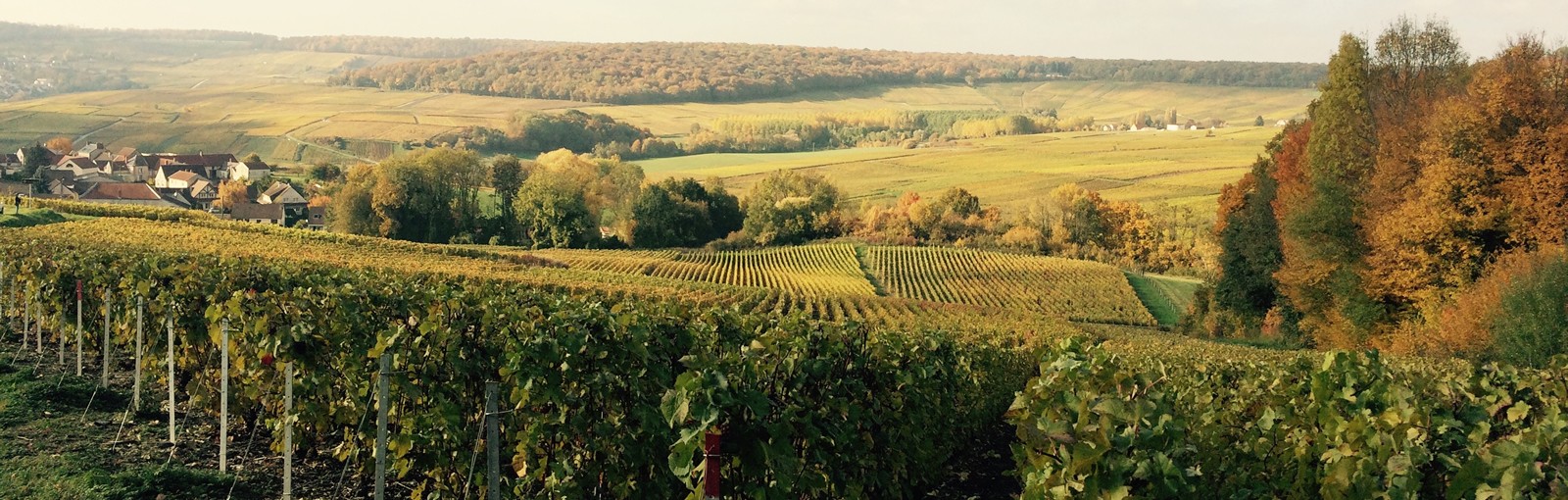 Tours Champagne - Burgundy - Multi-regional - Multiday tours from Paris