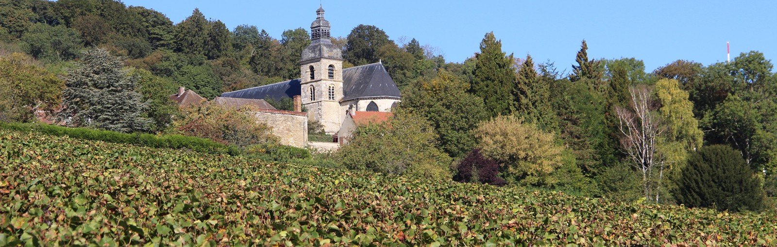 Tours Reims - Champagne - Full days - Day tours from Paris