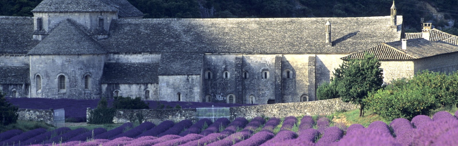 Tours Two days in Provence - Multi-regional - Multiday tours from Paris