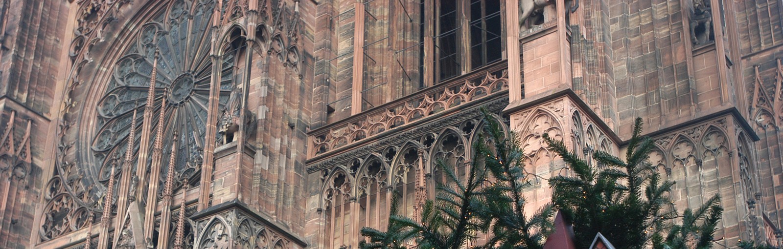 Tours Overnight tour in Alsace - Alsace - Regional tours