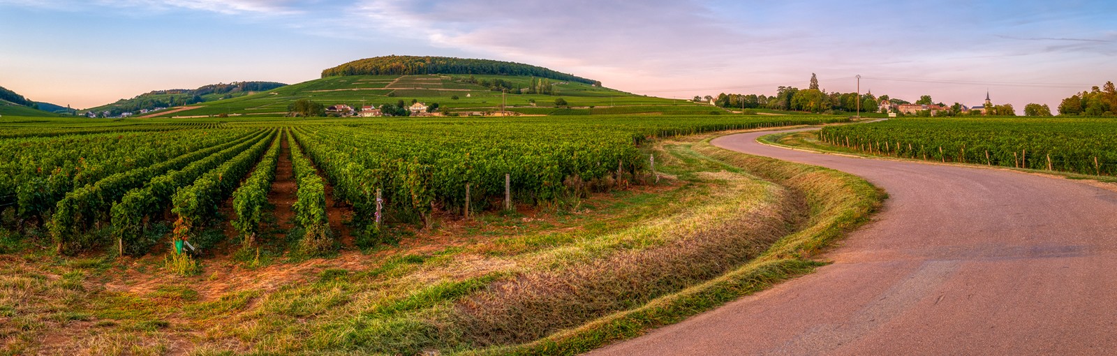 Tours Champagne - Burgundy – Berry - Multi-regional - Multiday tours from Paris