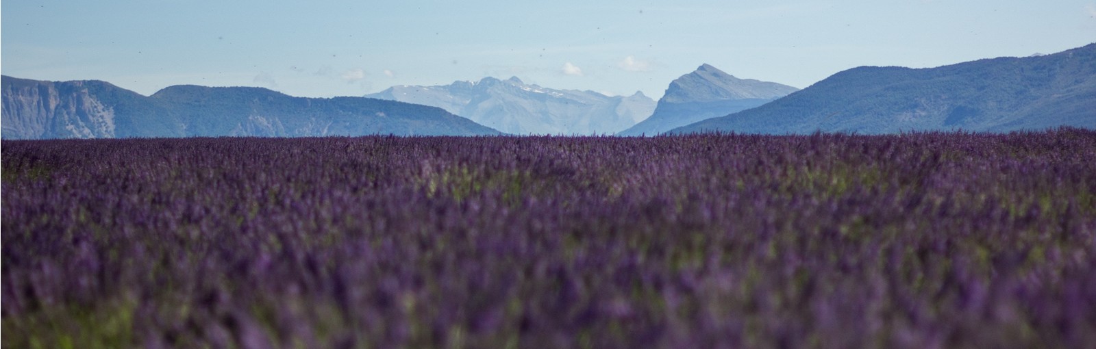 Provence - Regional tours