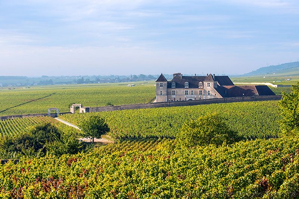 Burgundy - Yonne - Auxerre - Vézelay - Semur - Beaune - vineyards - tastings