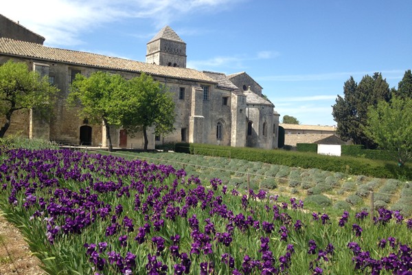 Two days in Provence - Multi-regional - Multiday tours from Paris