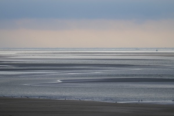 Bay of the Somme - seals - Great War WWI - Compiègne - Crotoy - Hourdel
