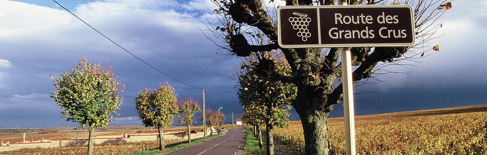 Tours Champagne - Burgundy – Berry - Multi-regional - Multiday tours from Paris