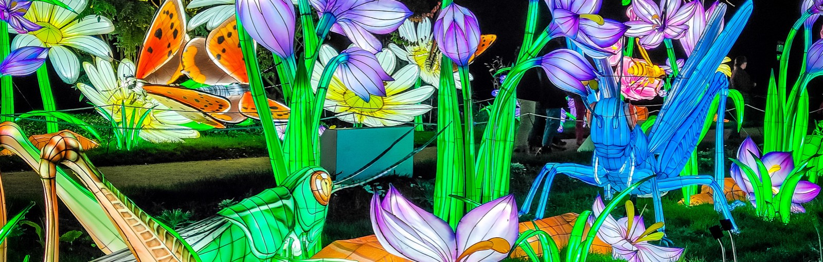 Tours Paris and Alsace Deluxe Winter Package - Paris Packages - Paris Tours