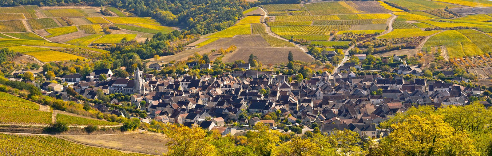 Tours Burgundy / Auxerre - Full days - Day tours from Paris