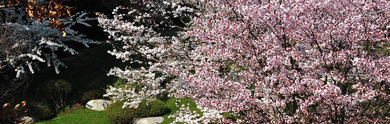 Tours Boulogne Billancourt 1930'S Museum + Garden Albert Khan - Half days - Day tours from Paris
